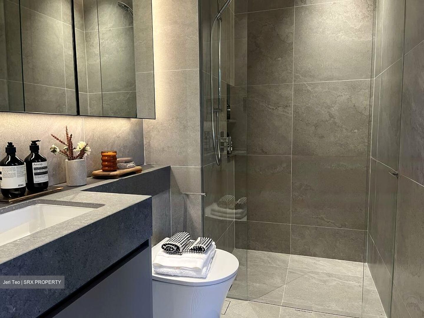 THE COLLECTIVE AT ONE SOPHIA (D9), Apartment #457915231